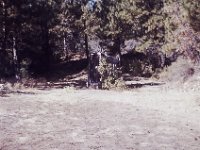 Mine outhouse 2